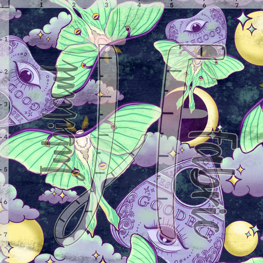 Moon planchet moth