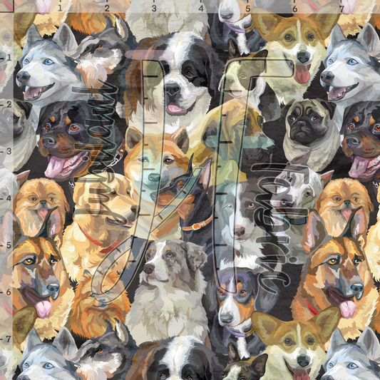 Dogs