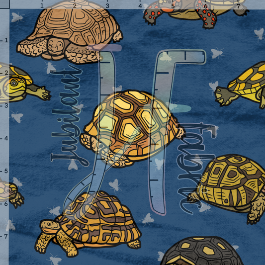 Pet Lake Turtle