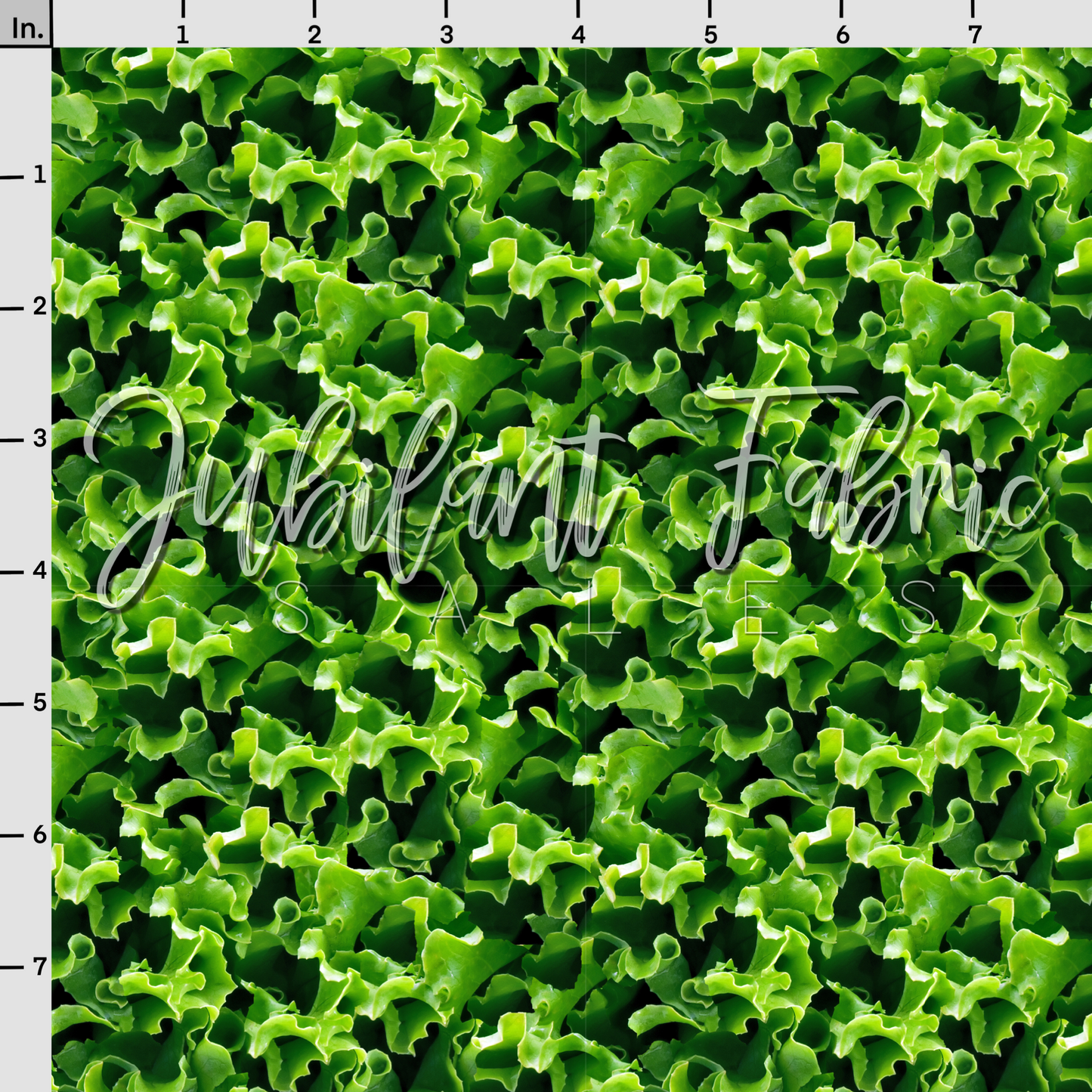 Lettuce 🥬