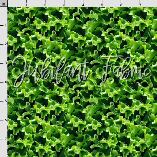 Lettuce 🥬