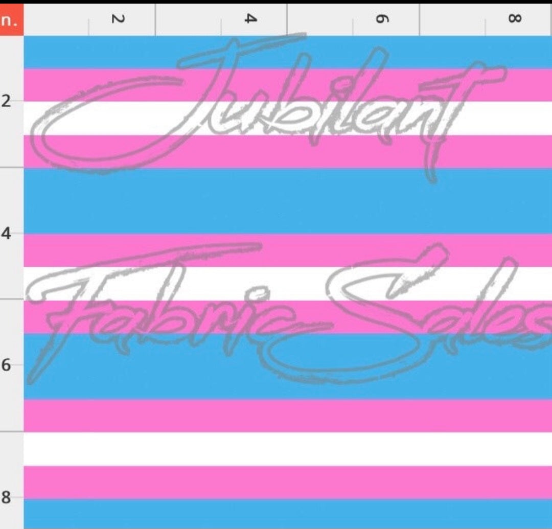 Transgender Flag