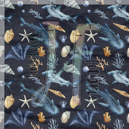Whale Shark & Hammerhead Shark Sea