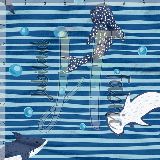 Shark Friends