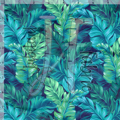 Palm