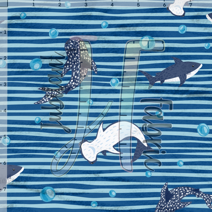 Shark Friends