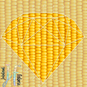 CORN 🌽