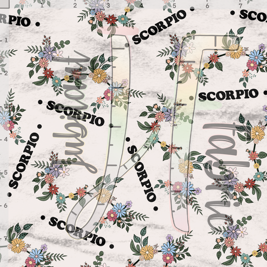 Scorpio Zodiac