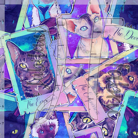 Cat Pet Portaits